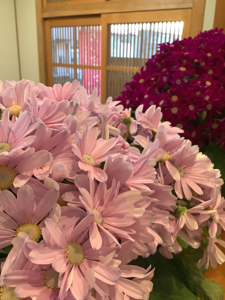 4月着方レッスン